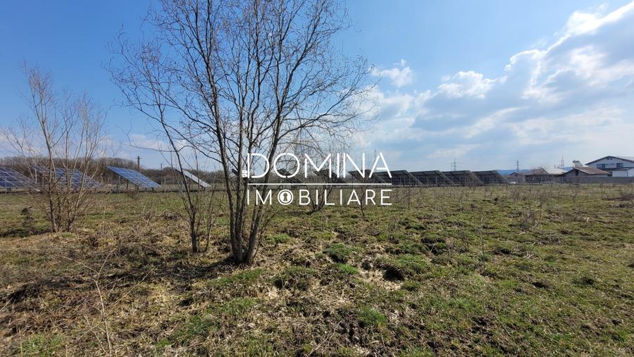 Teren Construcții intravilan de 978 mp, în Drăguțești