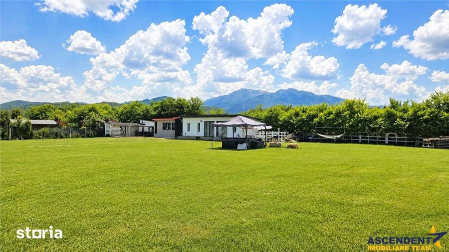 Teren 1.640 mp cu cabana moderna, foisor, gratar, atmosfera de vacanta - 5