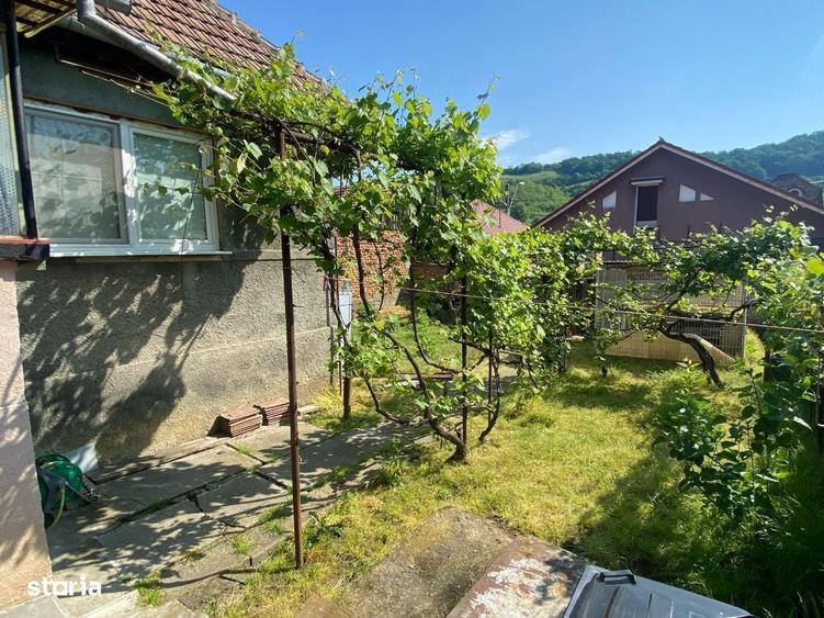 Casă cu 3 camere cu Teren 360 Mp în Central