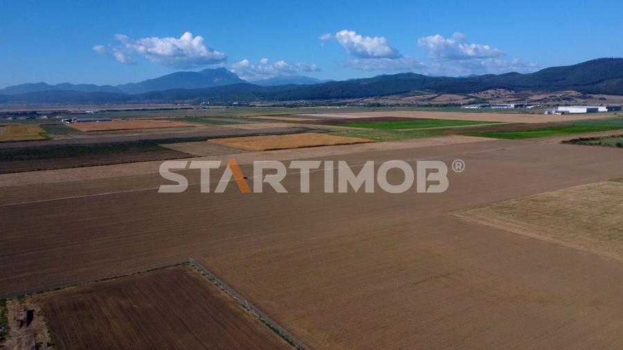 Teren agricol extravilan de 19739 mp, în Exterior Sud