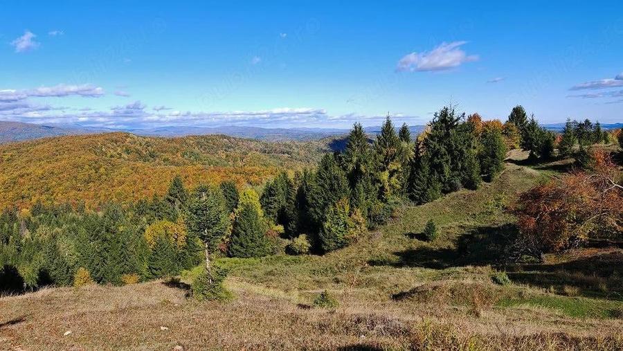 Teren de 10000 mp, în Melicești