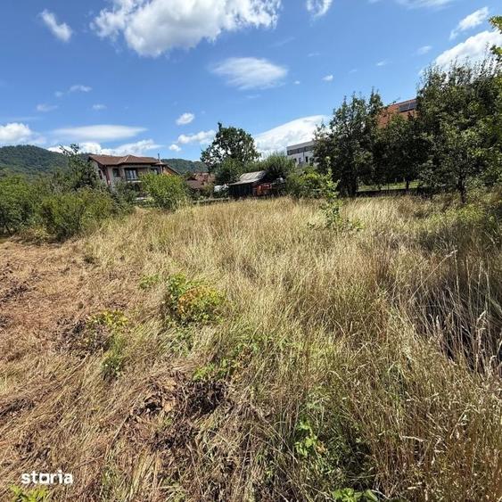 Teren de 1072 mp, în Valea Borcutului