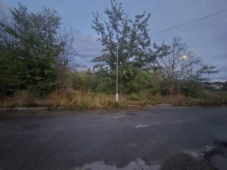Teren de 500 mp, în Dămăroaia