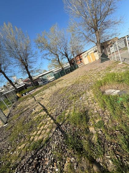 Inchiriere Teren Mamaia - zona Butoaie - 318 mp - 1