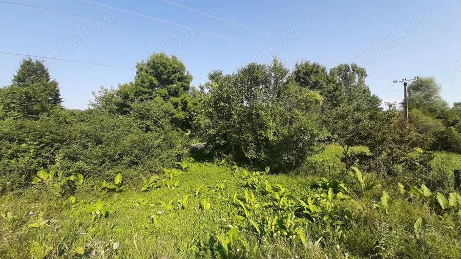 Teren de 3700 mp, în Vâlcănești