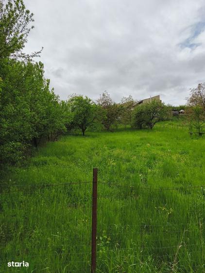 Teren de 950 mp, în Borhanci