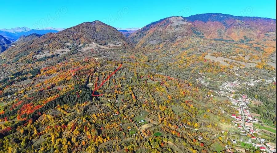 Vand teren la munte, Arges, Corbeni zona Cetatea Poenari Vlad Tepes, Baraj Vidraru - 3