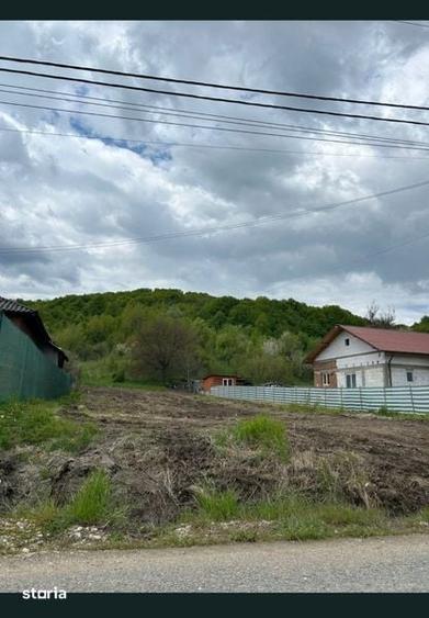 Teren intravilan 5400 m2 - 3
