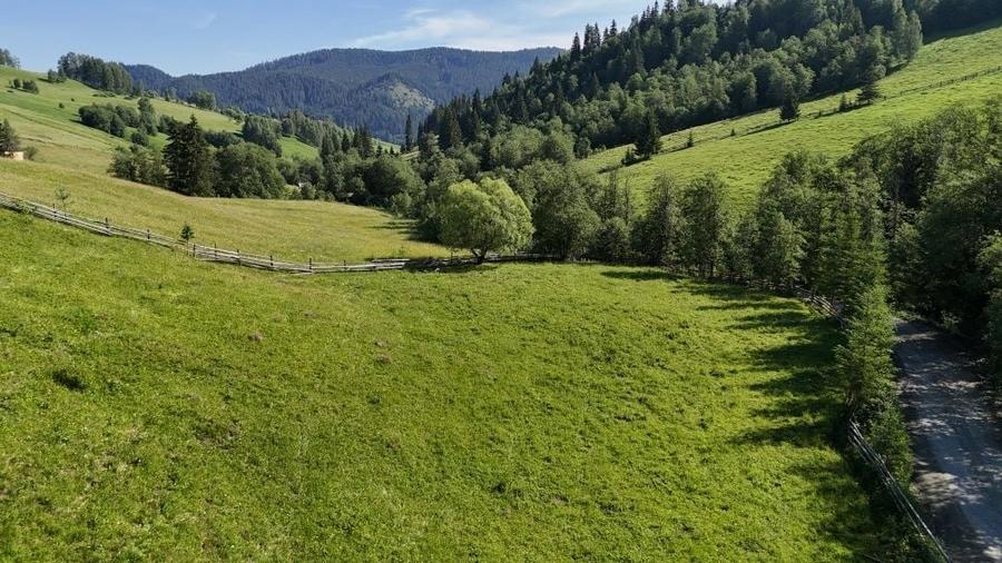 Teren intravilan de vanzare in Bucovina zona Breaza - 3
