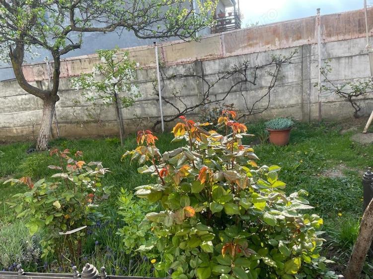 Teren de 322 mp, în Nord