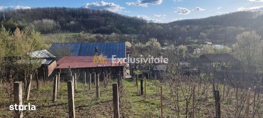 Casă cu 3 camere cu Teren 1558 Mp în Dănești