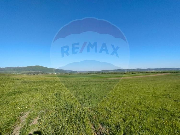 Teren agricol extravilan de 1668 mp, în Gura Râului