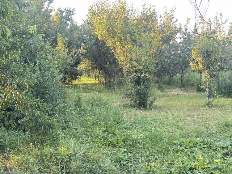 Casă cu 4 camere în Ohaba-Forgaci