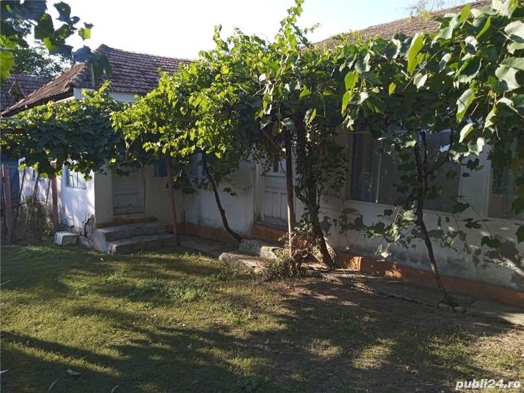 Teren de 2500 mp, în Urechești