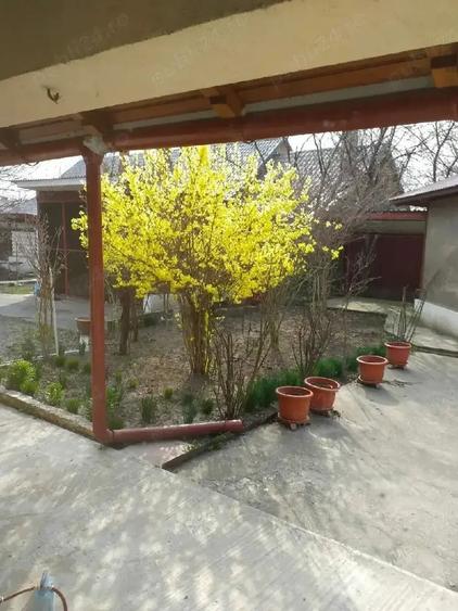 Casă cu 11 camere cu Teren 1800 Mp în Central