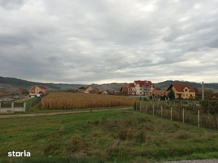 Teren de 7818 mp, în Albești