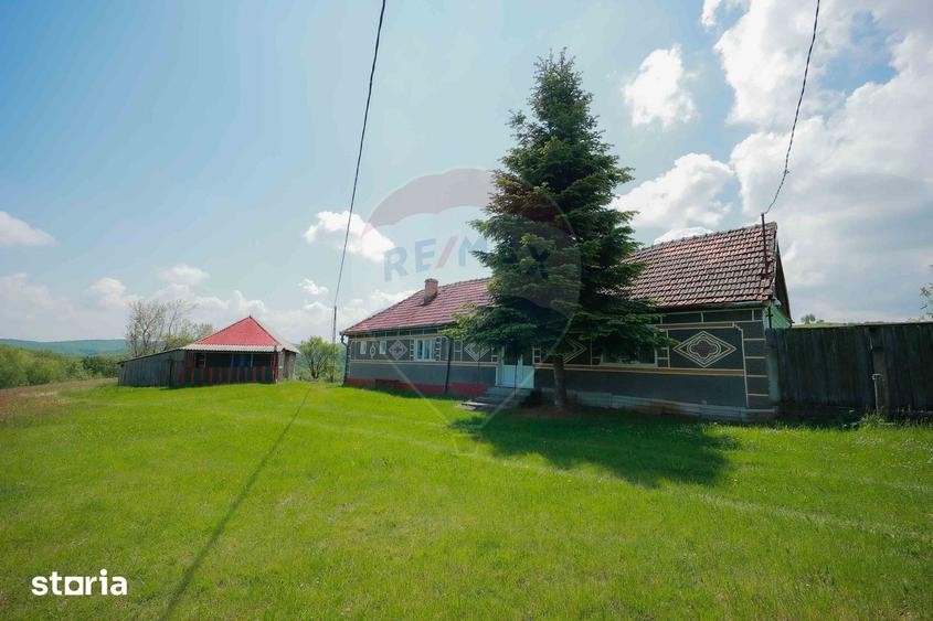 Casă cu 5 camere cu Teren 55706 Mp în Șinteu