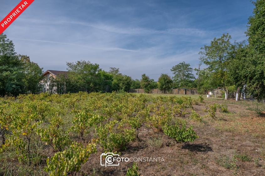 Casă individuală cu 4 camere cu Teren 2106 Mp în Potârnichea