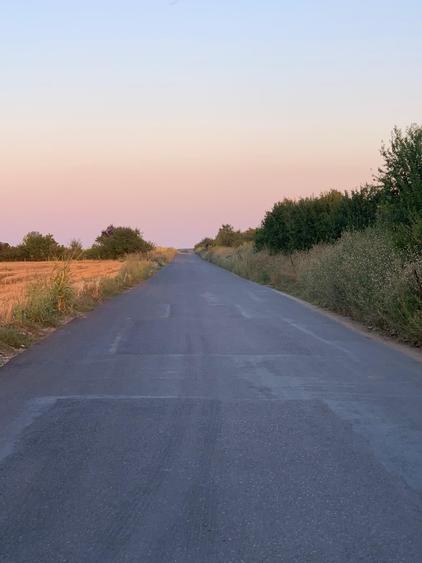 Teren Construcții intravilan de 30000 mp, în Ștefăneștii de Jos