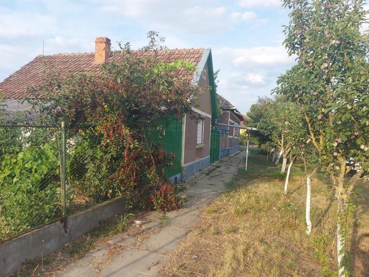 Casa de vanzare in Sofronea, cu livada si teren spatios - 3
