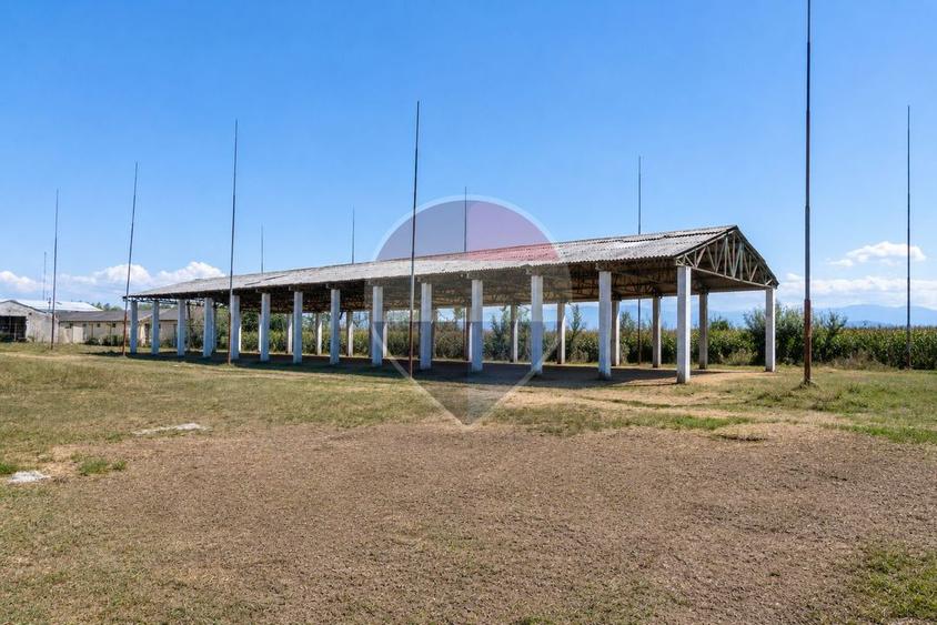 Teren Construcții intravilan de 17500 mp, în Hălchiu