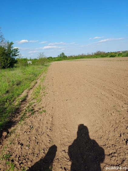 Teren de 5000 mp, în Bradu
