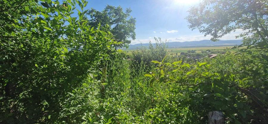 Teren de 2000 mp, în Gioseni