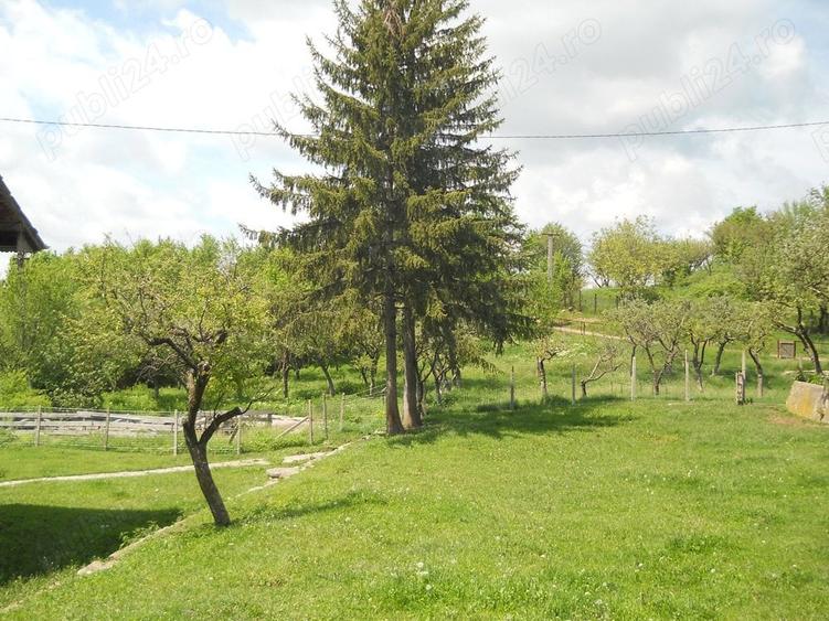 Teren în Toculești