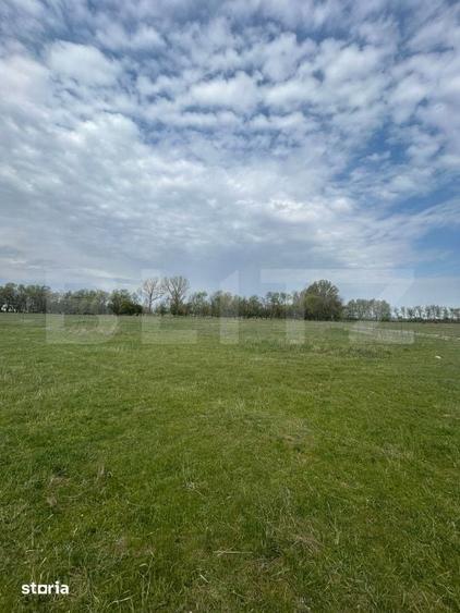 Teren Intravilan Giroc 695mp (3 min de centura) - 3