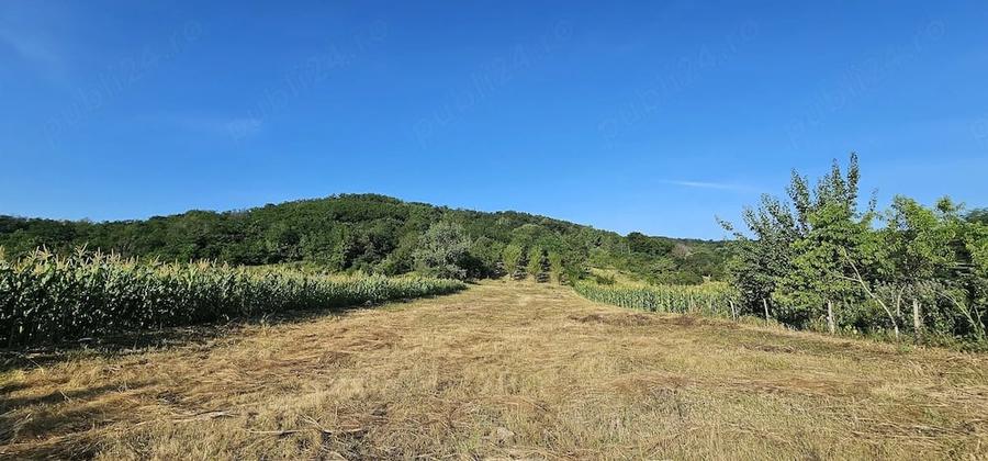 Casă cu 2 camere cu Teren 10000 Mp în Mitrofani