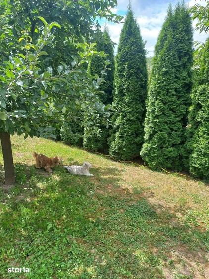 Casă cu 3 camere cu Teren 900 Mp în Bârsești