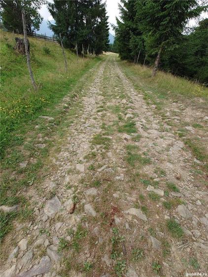 Teren de 7000 mp, în Piatra
