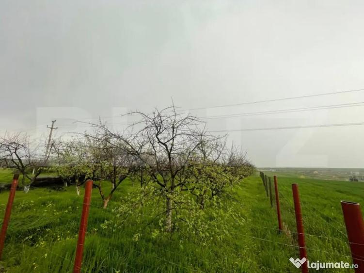 Teren în Central