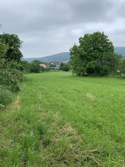 teren intravilan Patrauti - 6