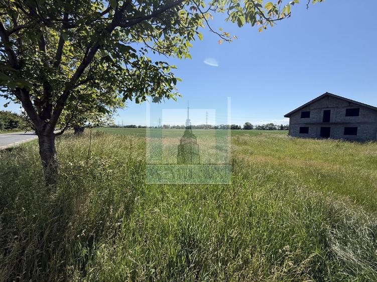 Teren Construcții intravilan de 50000 mp, în Hălchiu
