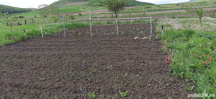 Casă cu 6 camere în Herina