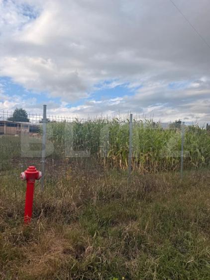 Teren intravilan 1000 mp, front 50 ml, Bunesti - Suceava - 2