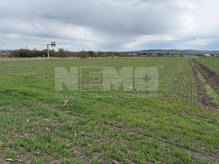 Teren agricol extravilan de 5063 mp, în Horodnic de Sus