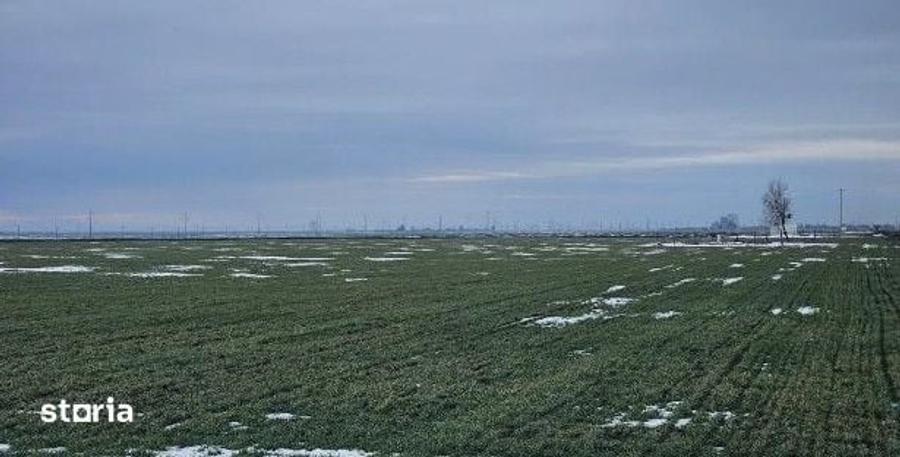 Teren de 20000 mp, în Dragalina
