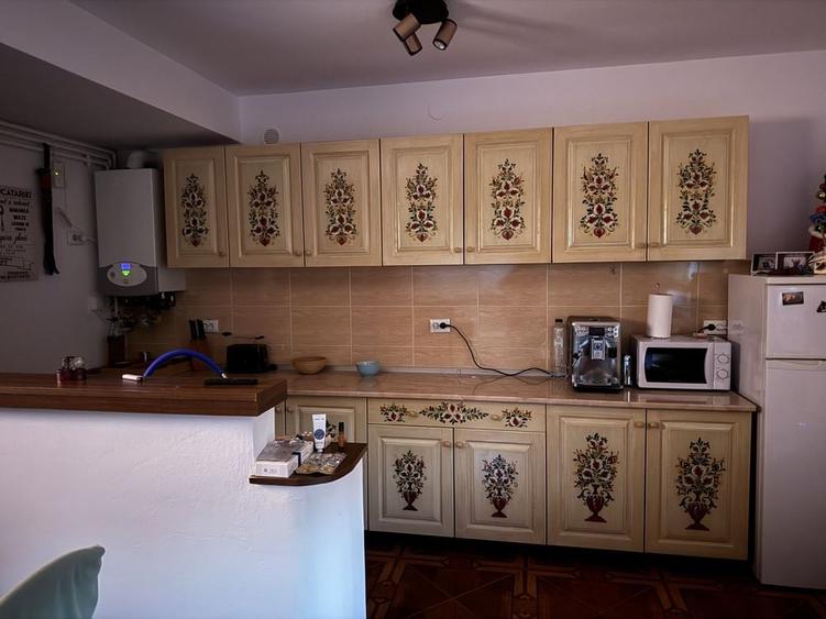 Vand casa Sura Mare - 7