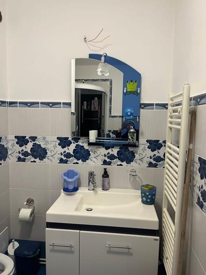 apartament cu 2 camere,etaj intermediar, zona Muzeul Apei - 6