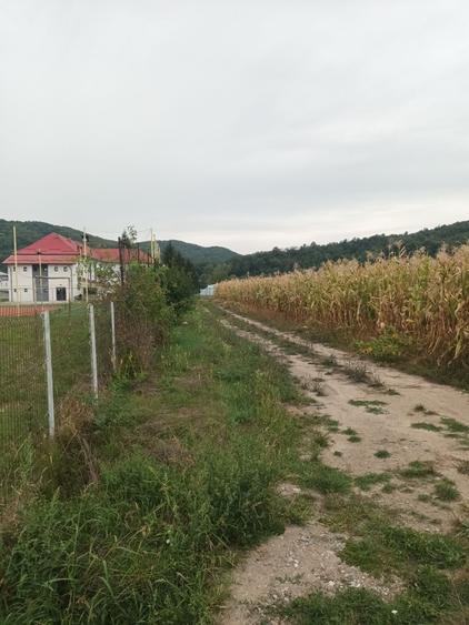 Spațiu comercial, în Cepari