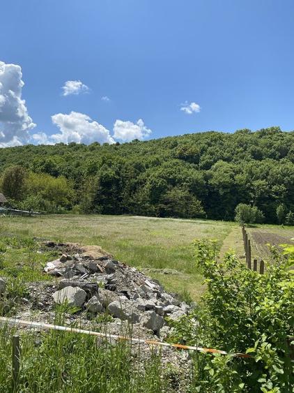 Teren de 4000 mp, în Codor