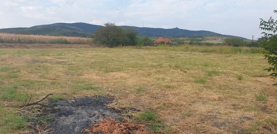 Teren de 2200 mp, în Mâsca