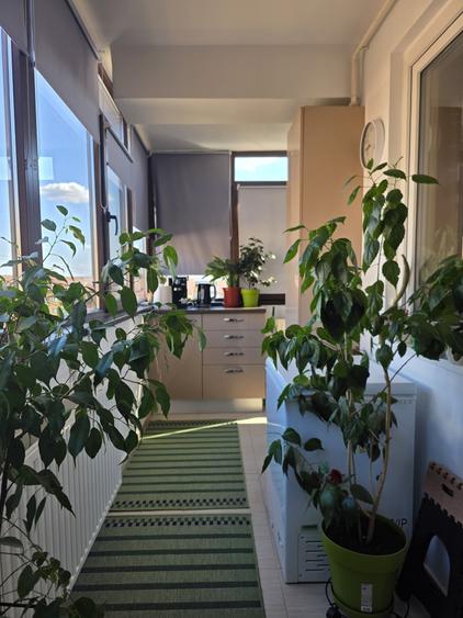 Apartament cu 3 camere decomandat în Roșu
