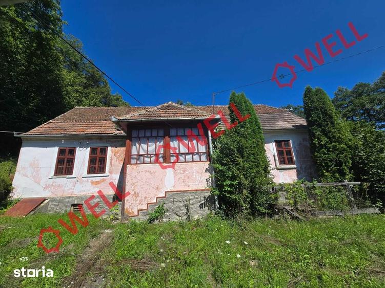 Casă cu 4 camere cu Teren 7618 Mp în Belin