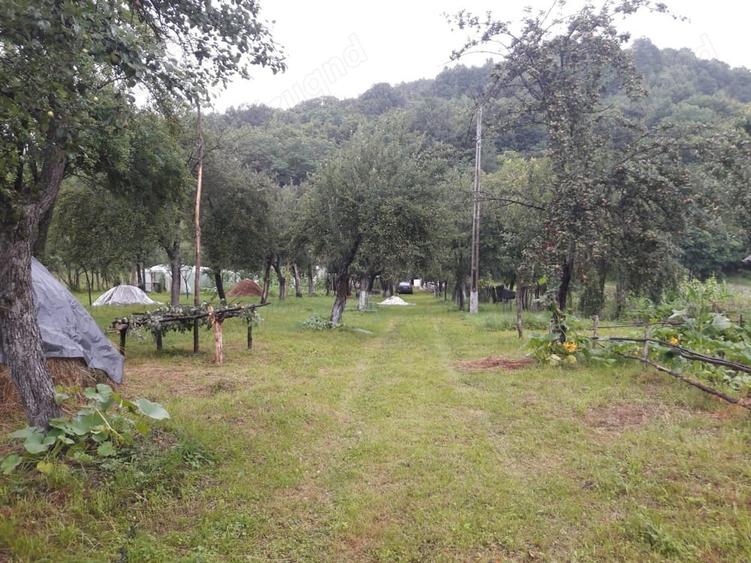 Teren în Central