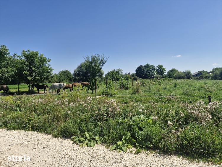 Teren de 1926 mp, în Stupini