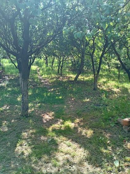 Casă cu 4 camere în Cojocna