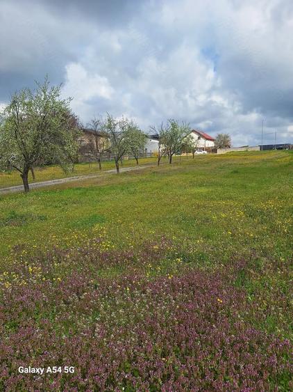Teren de 4150 mp, în Nord